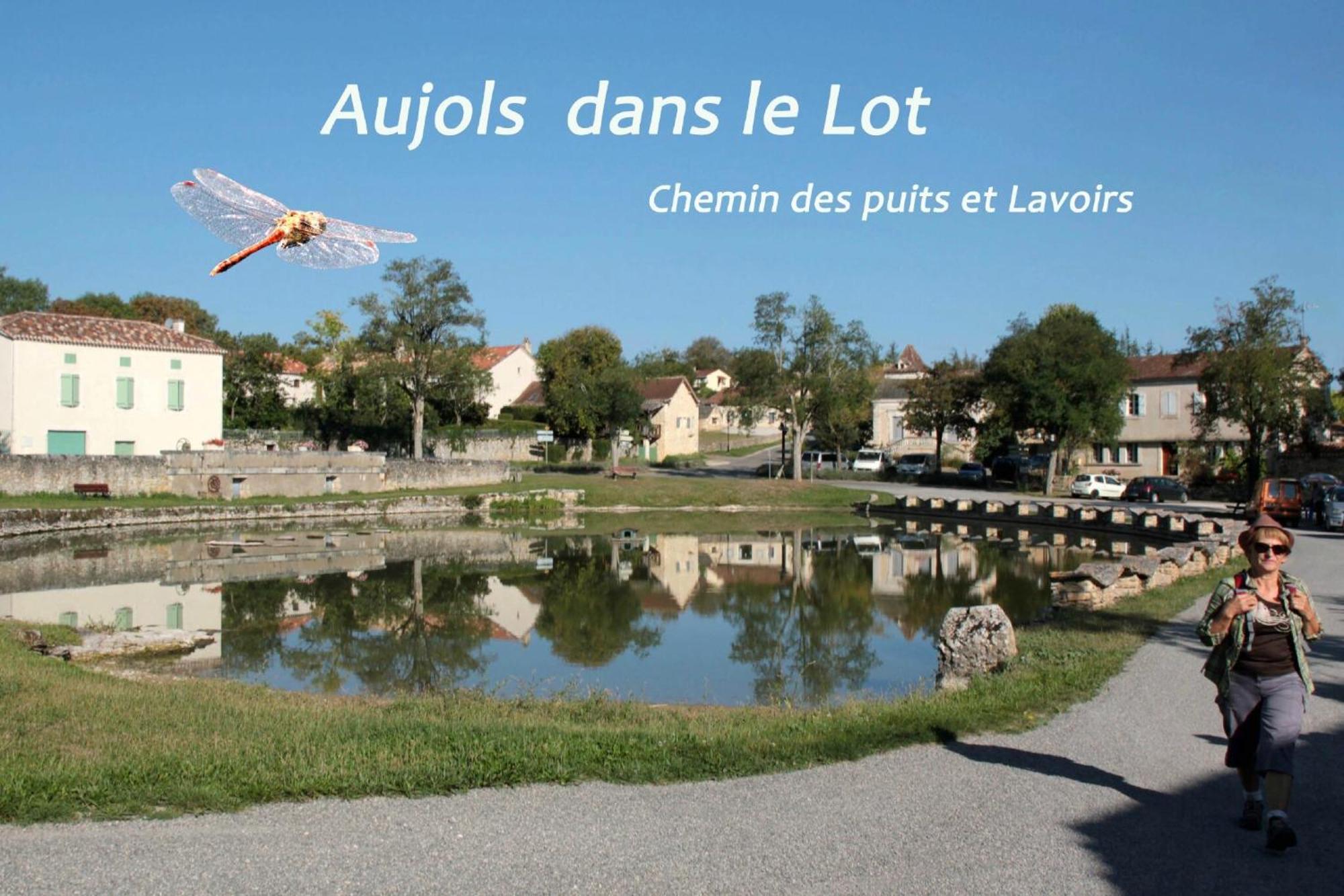 La Longere Du Moulin Βίλα Laburgade Εξωτερικό φωτογραφία